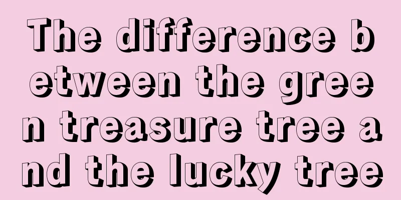 The difference between the green treasure tree and the lucky tree