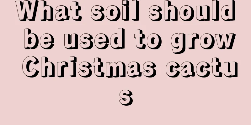 What soil should be used to grow Christmas cactus