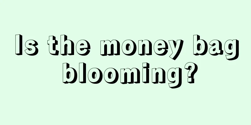 Is the money bag blooming?