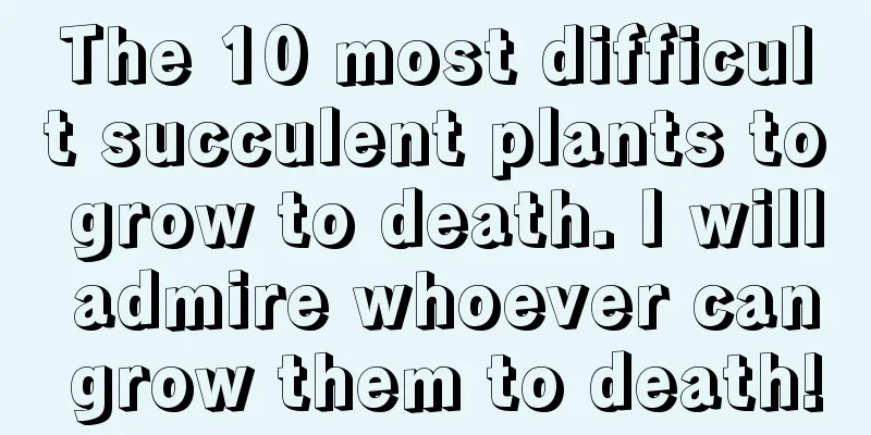 The 10 most difficult succulent plants to grow to death. I will admire whoever can grow them to death!