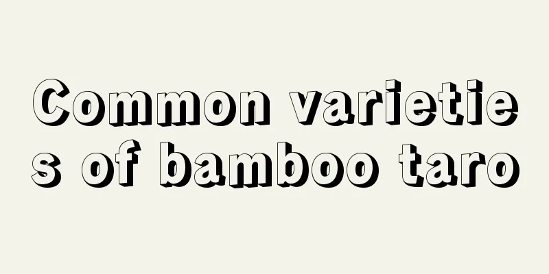 Common varieties of bamboo taro