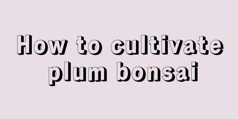 How to cultivate plum bonsai