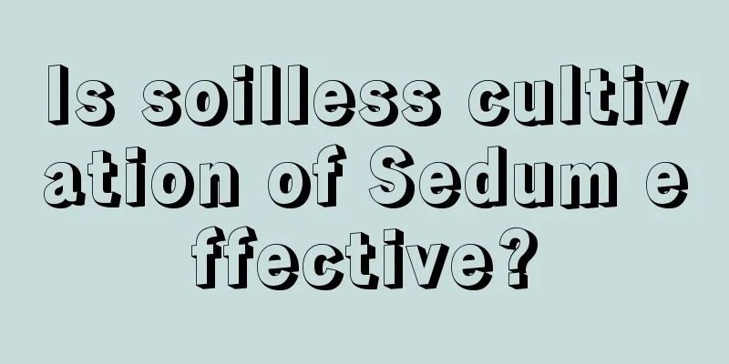 Is soilless cultivation of Sedum effective?