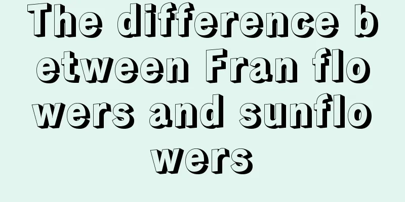 The difference between Fran flowers and sunflowers