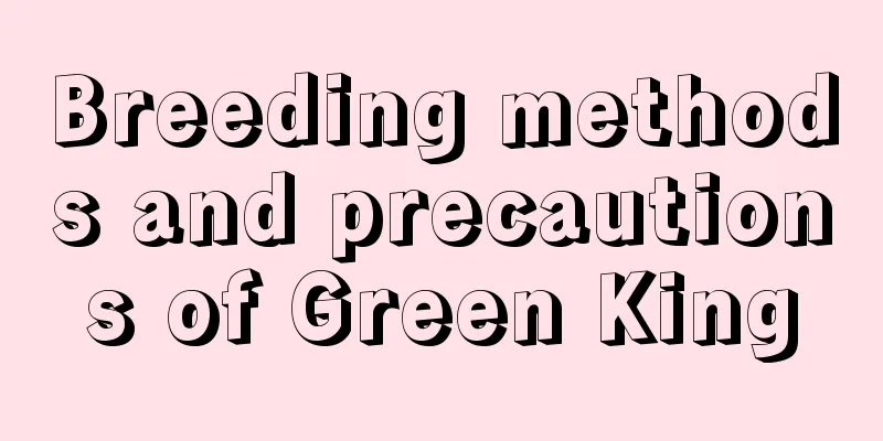 Breeding methods and precautions of Green King