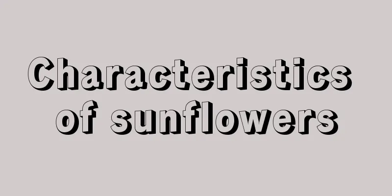 Characteristics of sunflowers