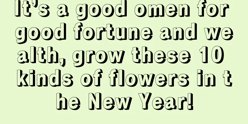 It’s a good omen for good fortune and wealth, grow these 10 kinds of flowers in the New Year!