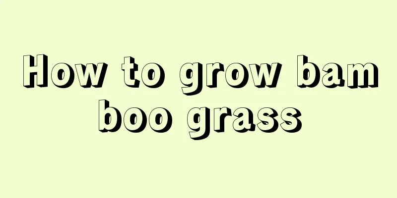 How to grow bamboo grass