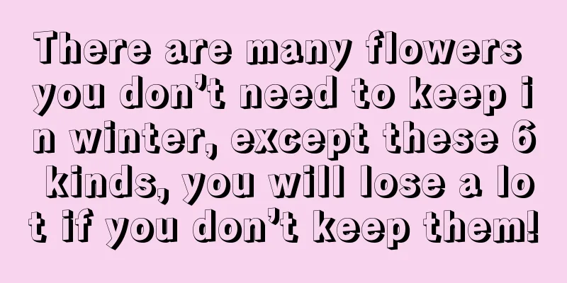 There are many flowers you don’t need to keep in winter, except these 6 kinds, you will lose a lot if you don’t keep them!