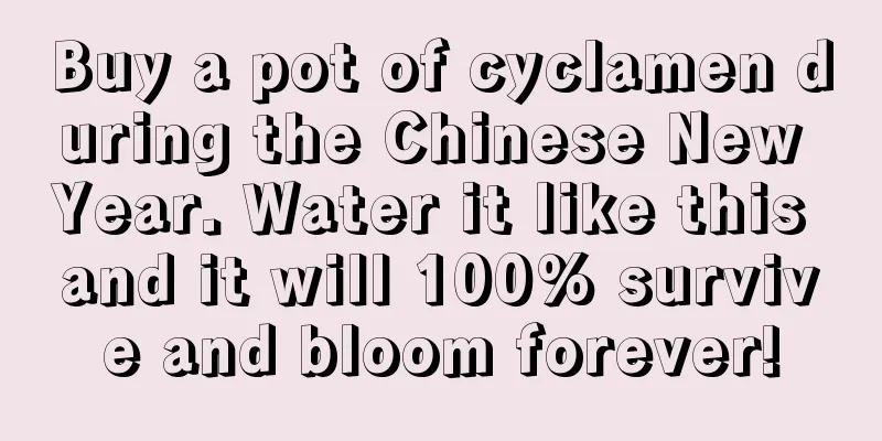 Buy a pot of cyclamen during the Chinese New Year. Water it like this and it will 100% survive and bloom forever!