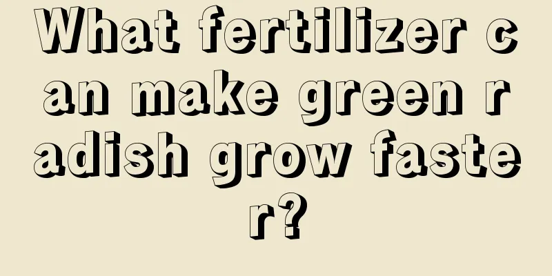 What fertilizer can make green radish grow faster?