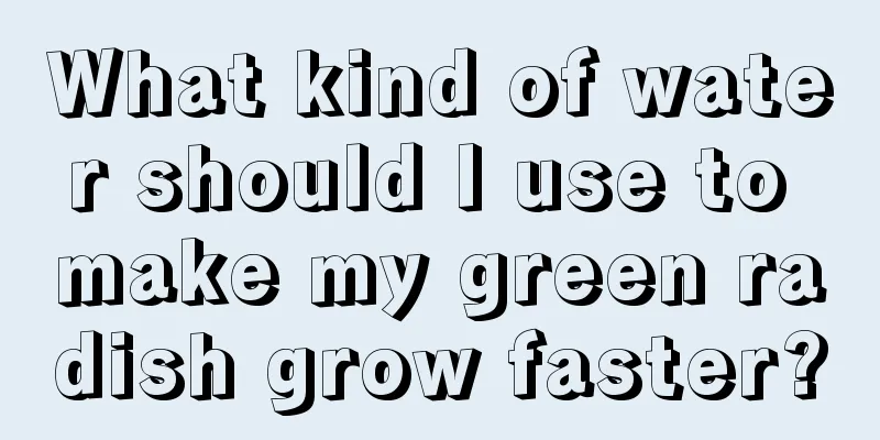 What kind of water should I use to make my green radish grow faster?