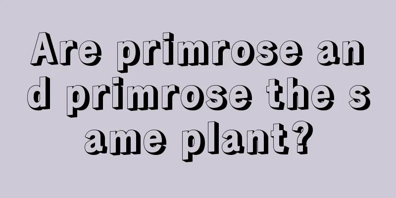 Are primrose and primrose the same plant?