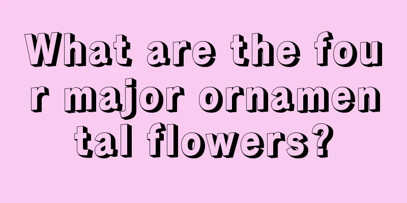 What are the four major ornamental flowers?