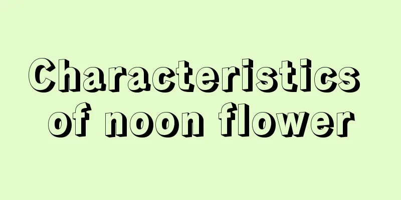 Characteristics of noon flower