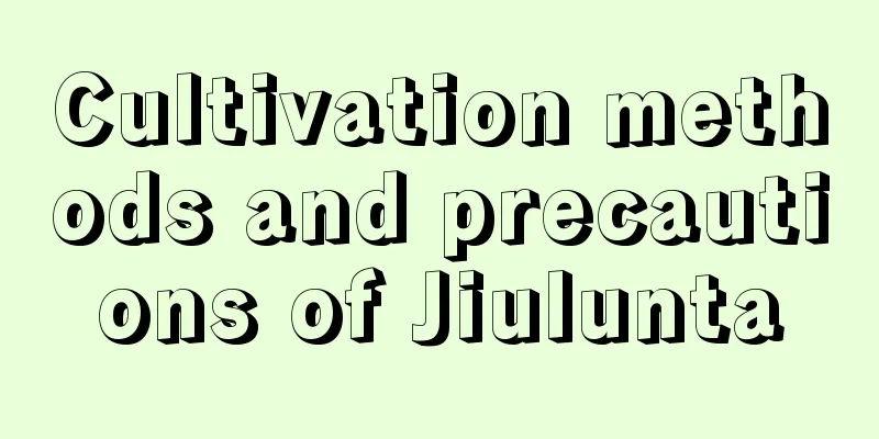 Cultivation methods and precautions of Jiulunta