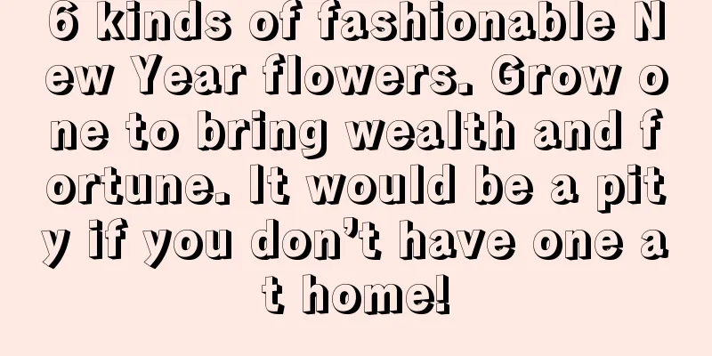 6 kinds of fashionable New Year flowers. Grow one to bring wealth and fortune. It would be a pity if you don’t have one at home!