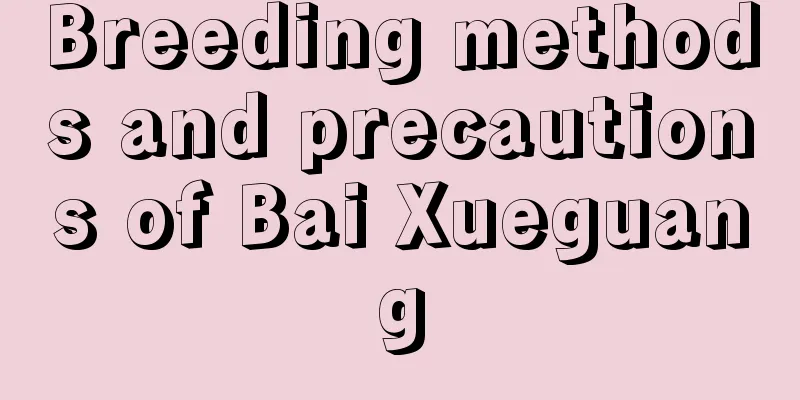 Breeding methods and precautions of Bai Xueguang