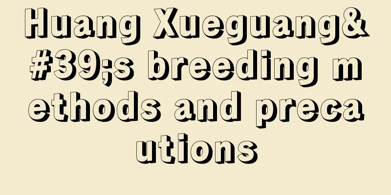 Huang Xueguang's breeding methods and precautions