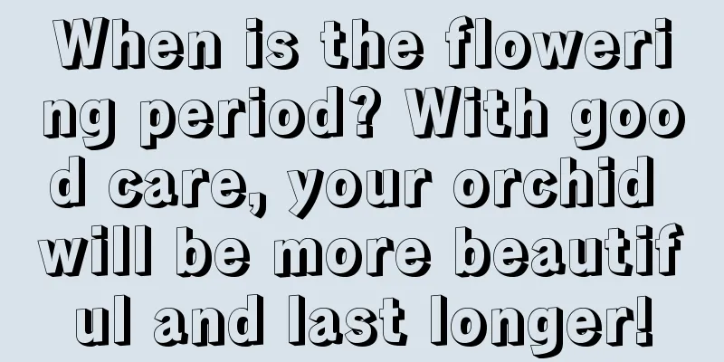 When is the flowering period? With good care, your orchid will be more beautiful and last longer!