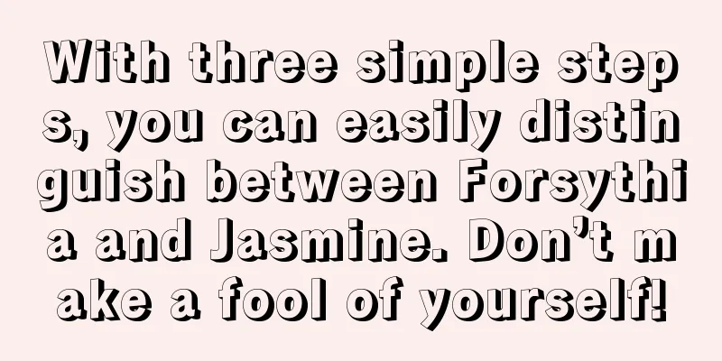 With three simple steps, you can easily distinguish between Forsythia and Jasmine. Don’t make a fool of yourself!