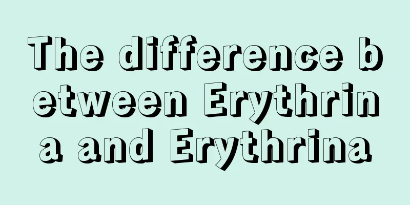 The difference between Erythrina and Erythrina