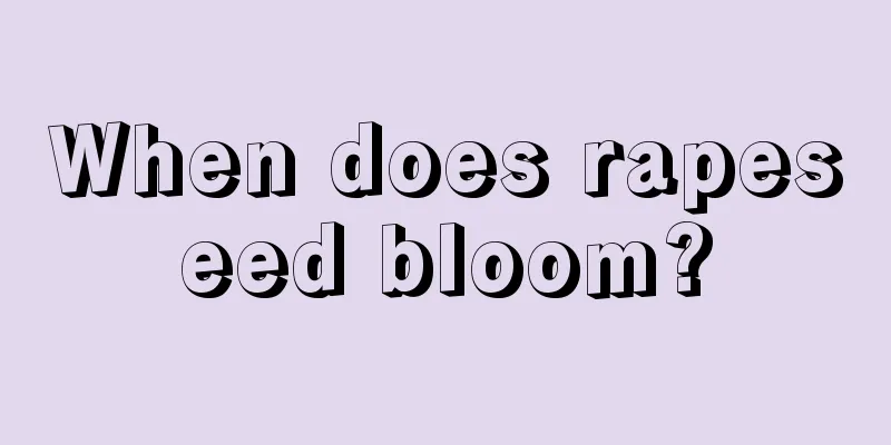 When does rapeseed bloom?