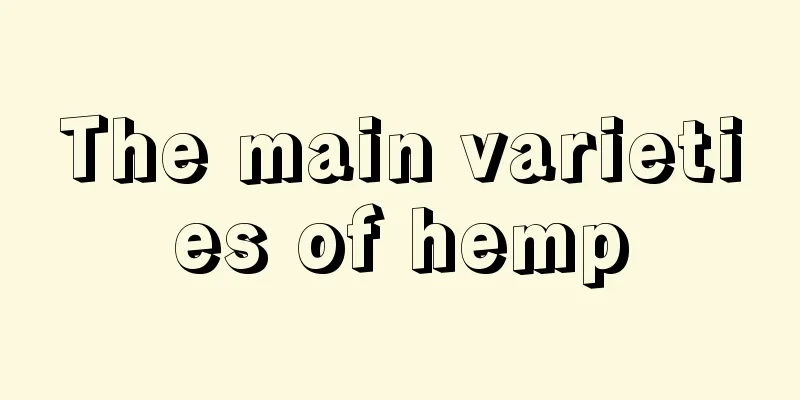 The main varieties of hemp