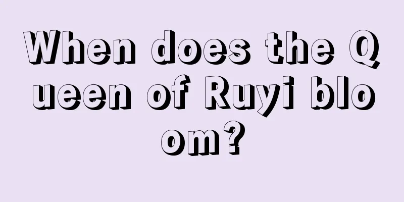 When does the Queen of Ruyi bloom?