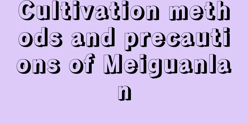 Cultivation methods and precautions of Meiguanlan