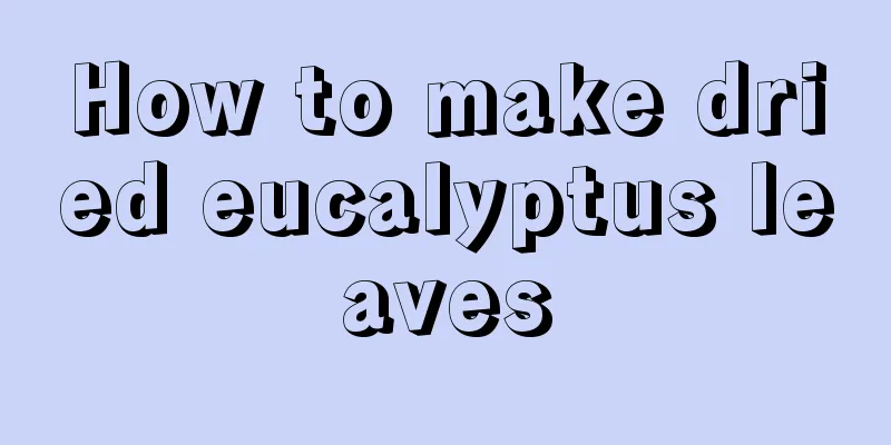 How to make dried eucalyptus leaves