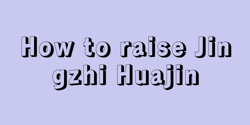 How to raise Jingzhi Huajin