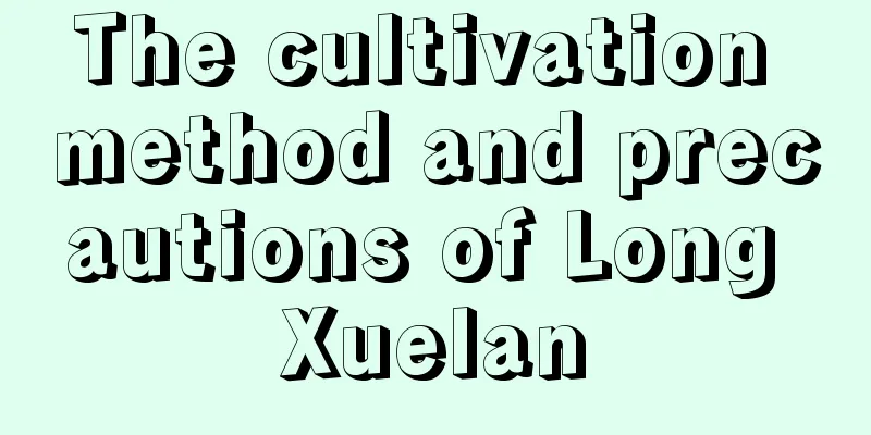 The cultivation method and precautions of Long Xuelan