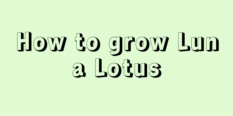 How to grow Luna Lotus