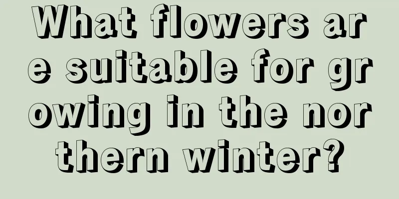 What flowers are suitable for growing in the northern winter?