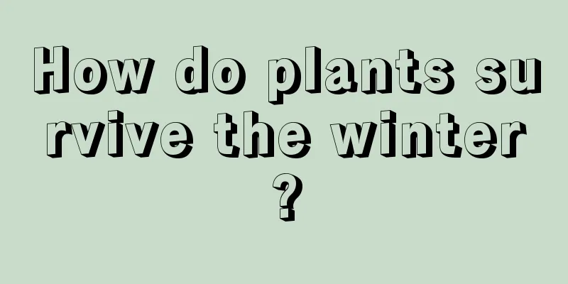 How do plants survive the winter?