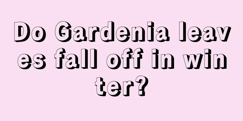 Do Gardenia leaves fall off in winter?