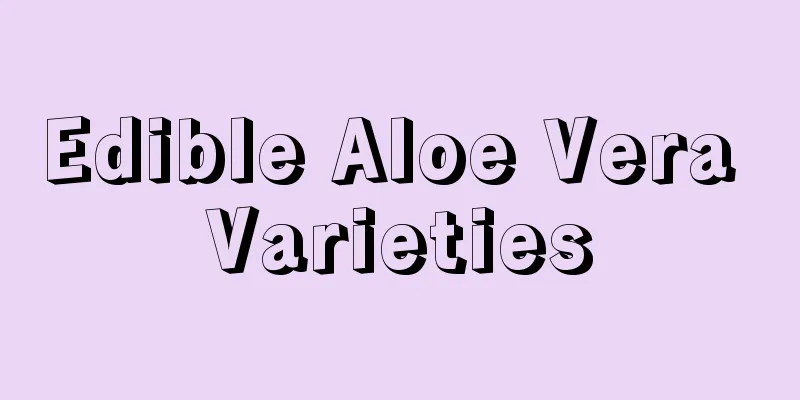 Edible Aloe Vera Varieties