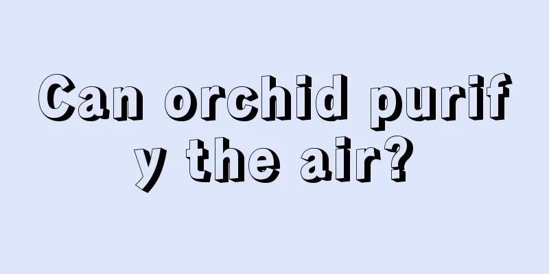 Can orchid purify the air?