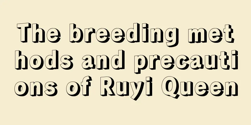 The breeding methods and precautions of Ruyi Queen