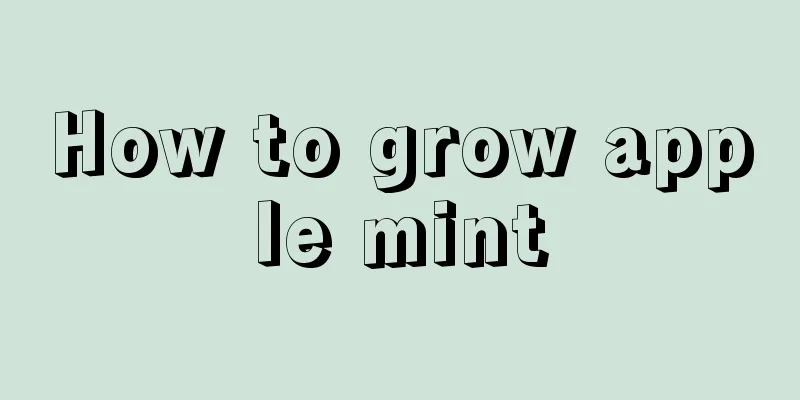 How to grow apple mint