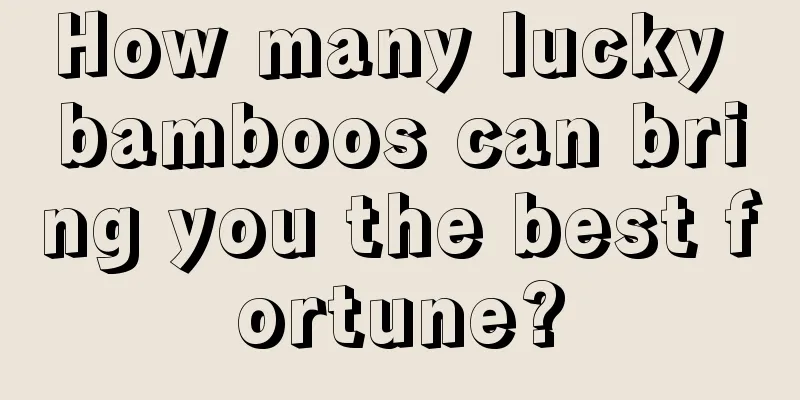 How many lucky bamboos can bring you the best fortune?