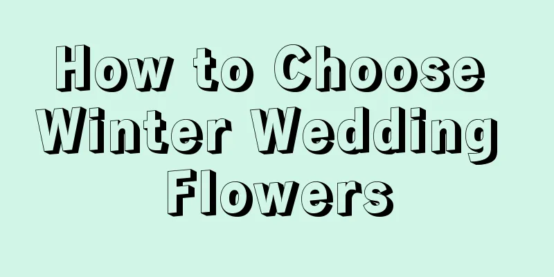 How to Choose Winter Wedding Flowers