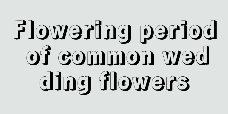 Flowering period of common wedding flowers