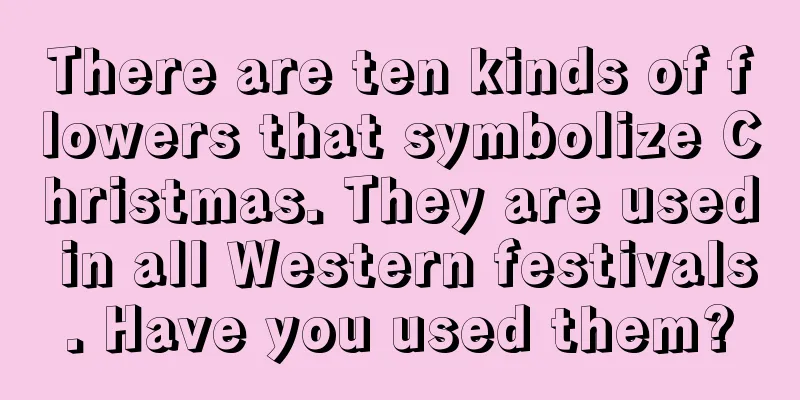 There are ten kinds of flowers that symbolize Christmas. They are used in all Western festivals. Have you used them?