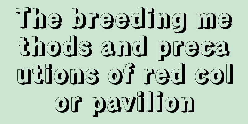 The breeding methods and precautions of red color pavilion