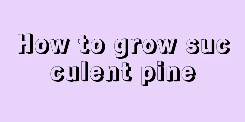 How to grow succulent pine