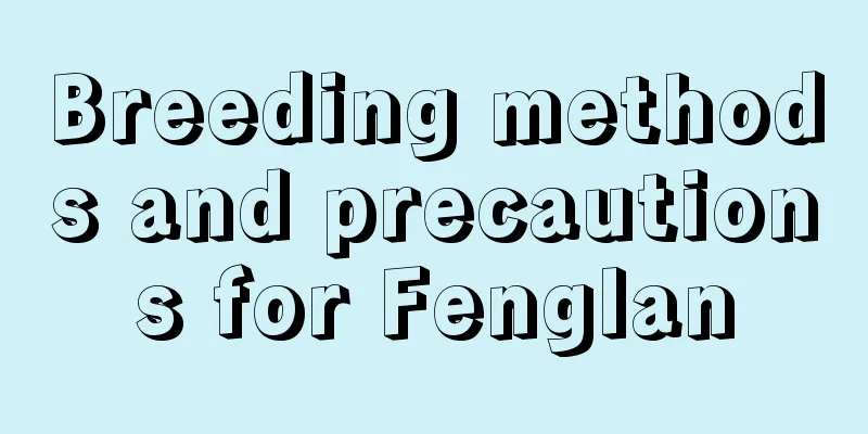 Breeding methods and precautions for Fenglan