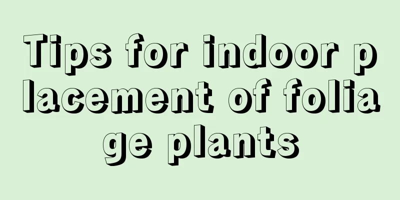 Tips for indoor placement of foliage plants