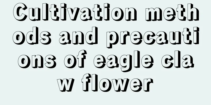 Cultivation methods and precautions of eagle claw flower